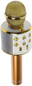 Микрофон вокальный Bluetooth Belsis MA3001GD