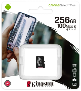Карта SD 256 GB Kingston SDCS2/256GBSP Canvas Select Plus Class10