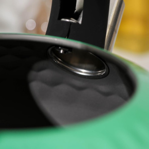 Чайник со свистком Magistro Glow, нерж., индукция, зеленый, 3 л.(6534628)