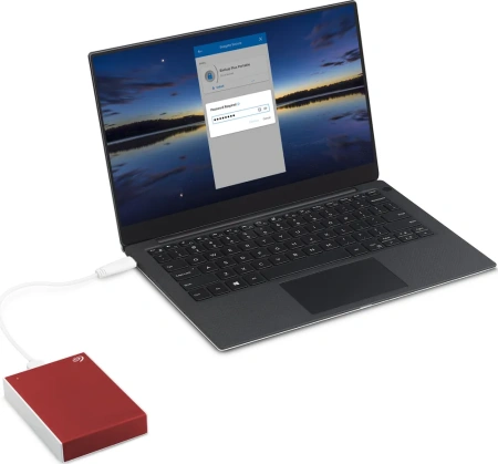 HDD USB 1Tb Seagate STKB1000403 One Touch красный