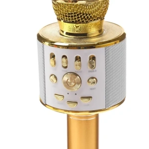 Микрофон вокальный Bluetooth LUAZON HOME LZZ-70, золотой