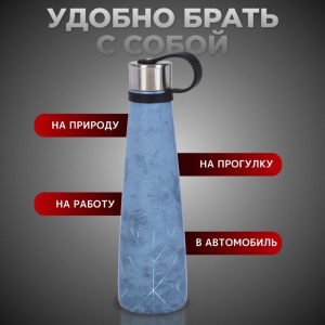 Термобутылка DANIKS Квантинум, 0,45 л, SL-45ZL3 (396564)