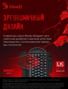 Клавиатура A4 Bloody B314 черный USB Multimedia for gamer LED