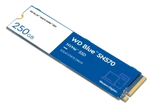 SSD М.2 250Gb WD WDS250G3B0C Blue