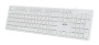 Клавиатура Acer OKW123 белый